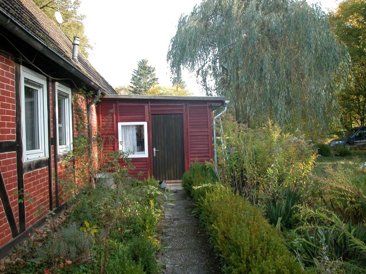 Ferienwohnung Zeitenhof Suderburg ภายนอก รูปภาพ